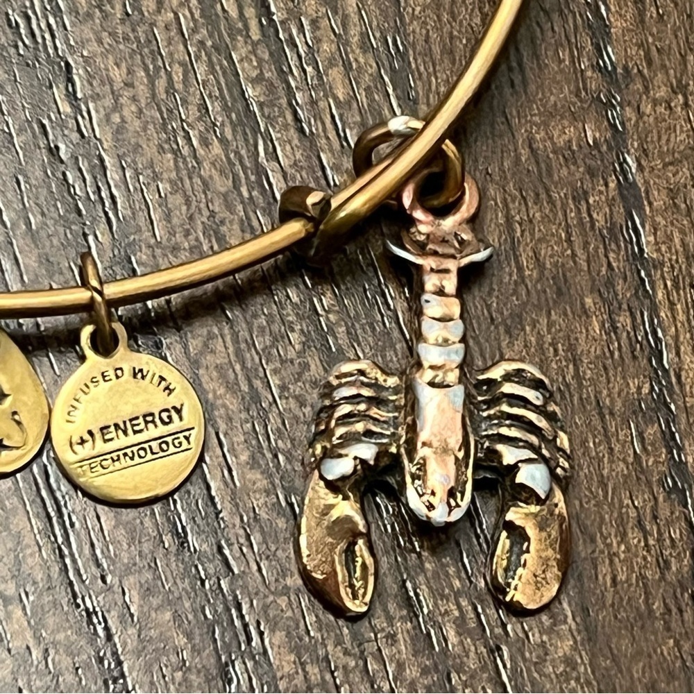 Alex & Ani Gold Tone Lobster Bangle Bracelet - Picture 2 of 4